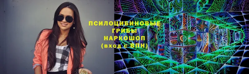 Галлюциногенные грибы GOLDEN TEACHER  магазин продажи   Гулькевичи 